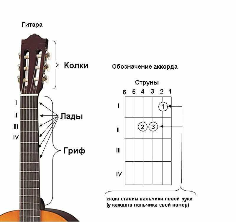 Самоучитель игры на гитаре/урок 2 — викиучебник