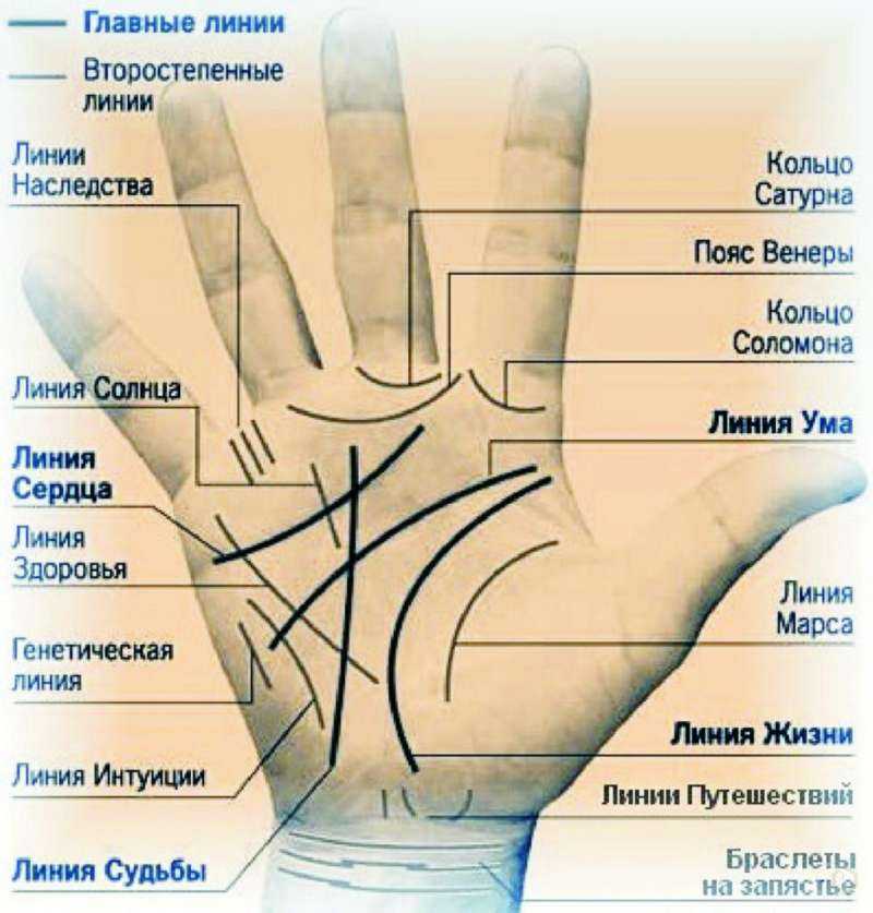 Хиромантия линии-линия жизни,линия любви и брака на руке
