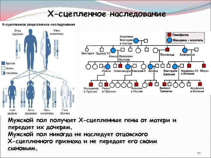 Звездные родители, которые бросили своих детей ради карьеры