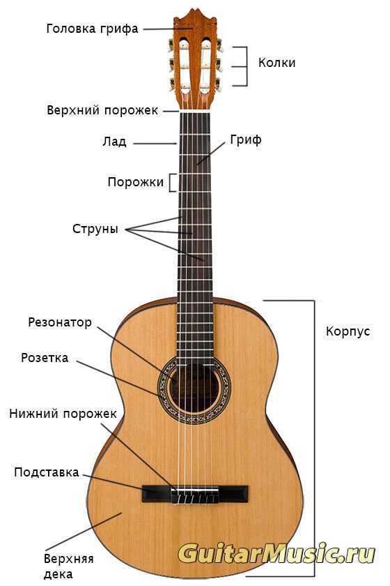 Все о гитаре Устройство электроакустических гитар Изначально задача подзвучки обычной акустики решалась с помощью обычного микрофона